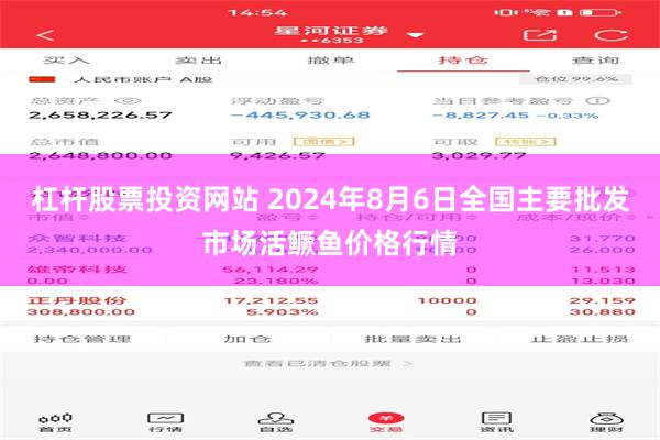 杠杆股票投资网站 2024年8月6日全国主要批发市场活鳜鱼价格行情