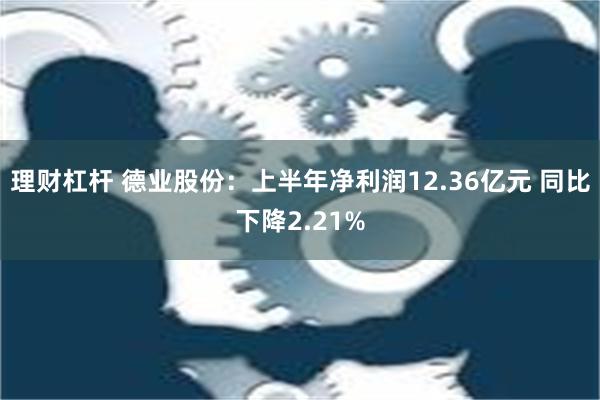 理财杠杆 德业股份：上半年净利润12.36亿元 同比下降2.21%