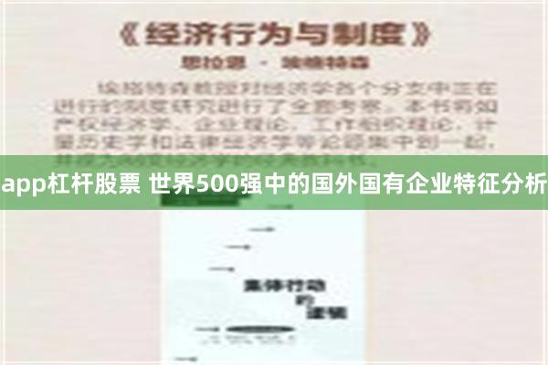 app杠杆股票 世界500强中的国外国有企业特征分析