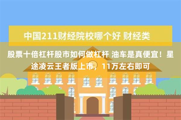 股票十倍杠杆股市如何做杠杆 油车是真便宜！星途凌云王者版上市，11万左右即可