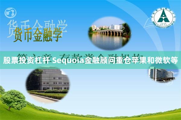 股票投资杠杆 Sequoia金融顾问重仓苹果和微软等