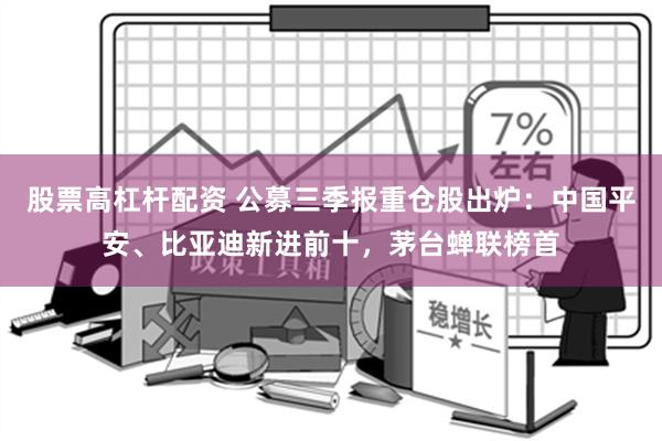 股票高杠杆配资 公募三季报重仓股出炉：中国平安、比亚迪新进前十，茅台蝉联榜首