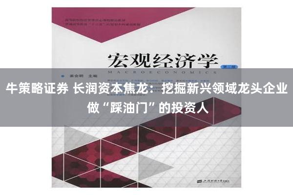 牛策略证券 长润资本焦龙：挖掘新兴领域龙头企业 做“踩油门”的投资人